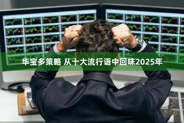 华宝多策略 从十大流行语中回味2025年