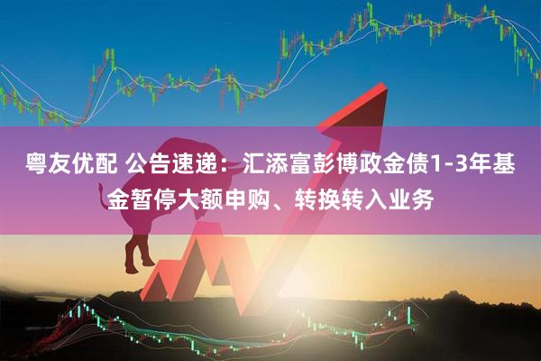 粤友优配 公告速递:汇添富彭博政金债1-3年基金暂停大额申购、转换转入业务