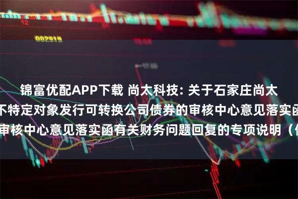 锦富优配APP下载 尚太科技: 关于石家庄尚太科技股份有限公司申请向不特定对象发行可转换公司债券的审核中心意见落实函有关财务问题回复的专项说明（修订稿）