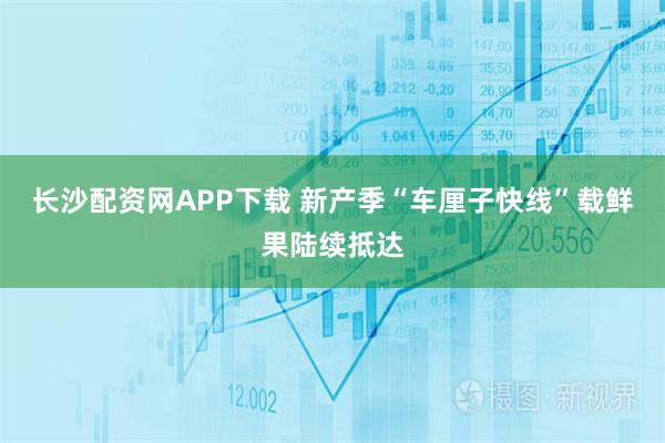 长沙配资网APP下载 新产季“车厘子快线”载鲜果陆续抵达