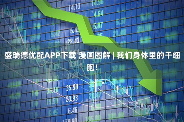 盛瑞德优配APP下载 漫画图解 | 我们身体里的干细胞！
