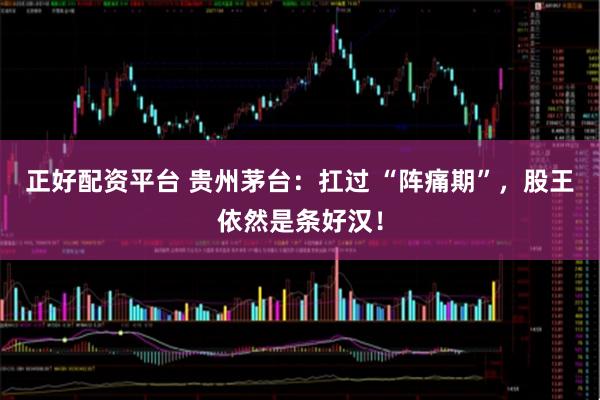 正好配资平台 贵州茅台：扛过 “阵痛期”，股王依然是条好汉！